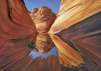 The Wave in Vermillion Cliffs, Arizona | Obraz na stenu