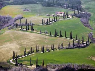 Road near Montepulciano, Tuscany | Obraz na stenu