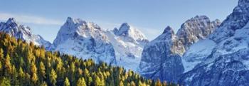 Larch Forest And Cima Bel Pra, Italy | Obraz na stenu