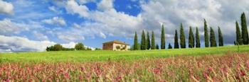 Landscape with cypress alley and sainfoins, San Quirico d'Orcia, Tuscany | Obraz na stenu