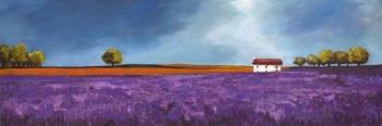 Field of Lavender II | Obraz na stenu