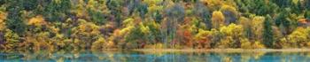 Lake and Forest in Autumn, China | Obraz na stenu