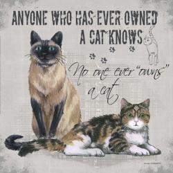 Owns a Cat | Obraz na stenu