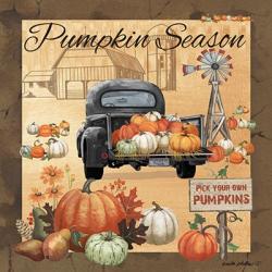 Pumpkin Season II | Obraz na stenu