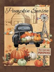 Pumpkin Season III | Obraz na stenu