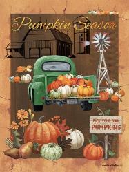 Pumpkin Season VI | Obraz na stenu