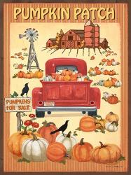 Pumpkin Patch II | Obraz na stenu