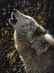 Howling Wolf - Songs of Autumn | Obraz na stenu