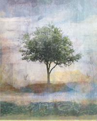 Tree Collage I | Obraz na stenu