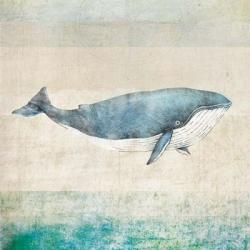 Whale | Obraz na stenu