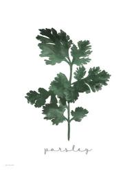 Parsley | Obraz na stenu