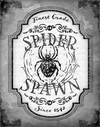 Spider Spawn | Obraz na stenu