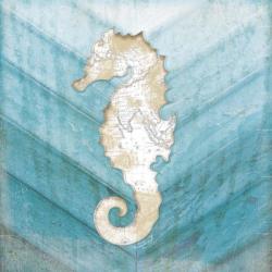 Coastal Seahorse | Obraz na stenu