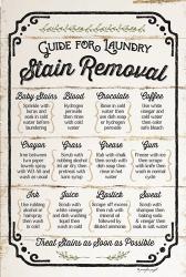 Stain Removal Guide | Obraz na stenu