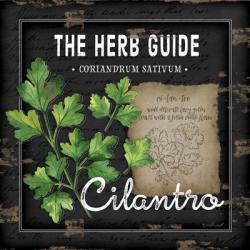 Herb Guide Cilantro | Obraz na stenu