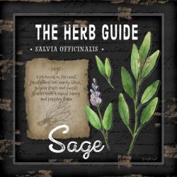 Herb Guide Sage | Obraz na stenu