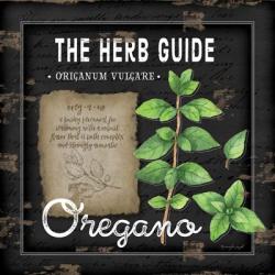 Herb Guide Oregano | Obraz na stenu