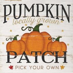 Pumpkin Patch | Obraz na stenu