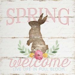 Spring Welcome | Obraz na stenu