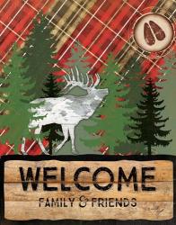 Cabin Welcome Plaid II | Obraz na stenu