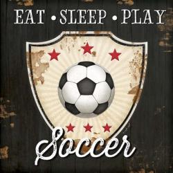 Eat, Sleep, Play, Soccer | Obraz na stenu