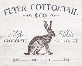 Peter Cottontail | Obraz na stenu