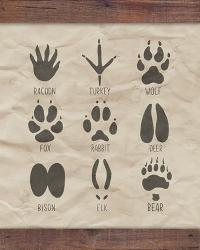 Paw Prints | Obraz na stenu