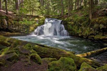 Whitehorse Falls | Obraz na stenu