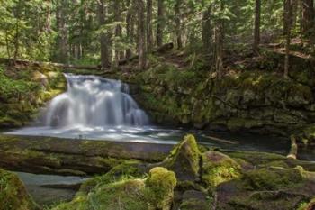 Whitehorse Falls | Obraz na stenu