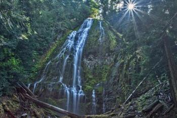 Lower Proxy Falls | Obraz na stenu