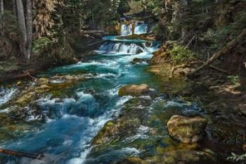 McKensie River | Obraz na stenu