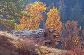 North Fork Cabin | Obraz na stenu