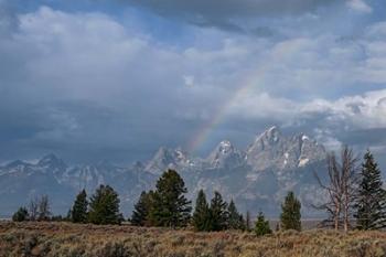 Teton Rainbow | Obraz na stenu