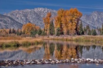 Teton Autumn | Obraz na stenu