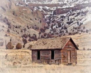 Old Line Shack | Obraz na stenu