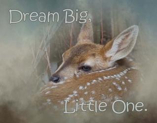 Dream Big Dear | Obraz na stenu