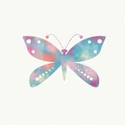 Multi Color Butterfly V | Obraz na stenu