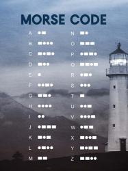 Morse Lighthouse | Obraz na stenu