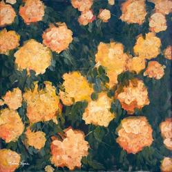 Marigolds | Obraz na stenu