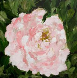 Peony | Obraz na stenu