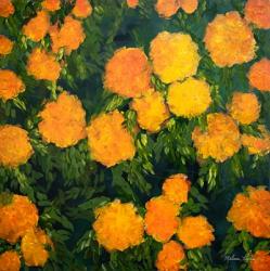 Marigolds | Obraz na stenu