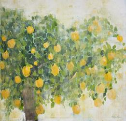 Lemon Tree | Obraz na stenu