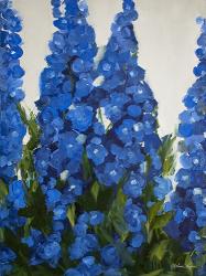 Delphiniums | Obraz na stenu