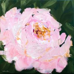 Peony | Obraz na stenu