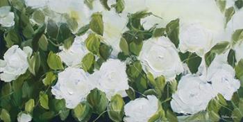 White Garden Roses | Obraz na stenu