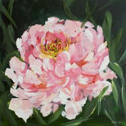 Peony | Obraz na stenu