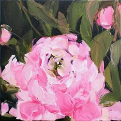 Peony II | Obraz na stenu