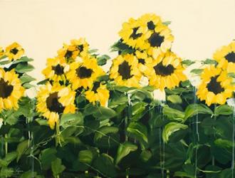 Sunflowers | Obraz na stenu