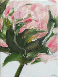 Peony II | Obraz na stenu