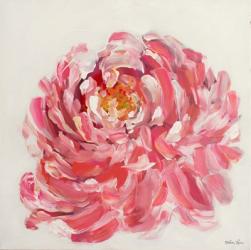 Peony | Obraz na stenu